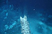 Heiße Quelle am Meeresboden. Foto: ROV-Team/GEOMAR