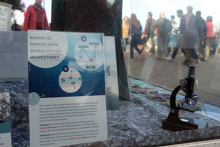 Der Ausstellungskasten des GEOMAR direkt an der Kiellinie informiert jetzt über das Thema "Mikroplastik im Meer". Foto: J. Steffen, GEOMAR