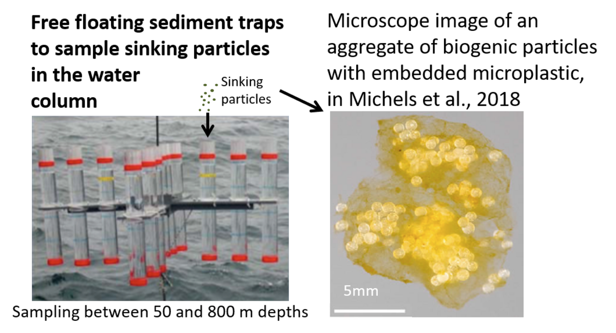 Free floating sediment traps to sample sinking particles in the water column (left), Sinking particles: microscope image of an aggregate of biogenic particles with embedded microplastic, Michels et al. 2018 (left)