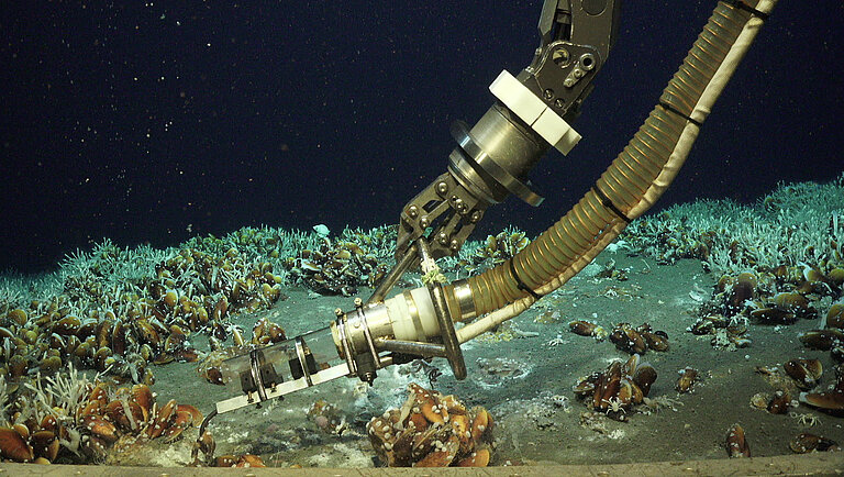 Roboterarm am Meeresgrund, das Sediment ist von Muscheln bedeckt.