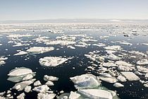 The Arctic is currently warming at more than double the rate of other parts of the ocean. What are the consequences? British and German scientists join forces to tackle this question . Photo: Georgi Laukert/GEOMAR (CC BY 4.0)