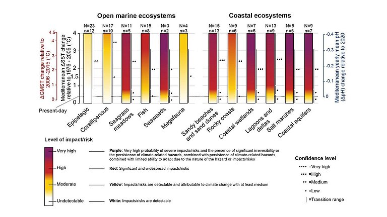 Burning Ember Diagramm