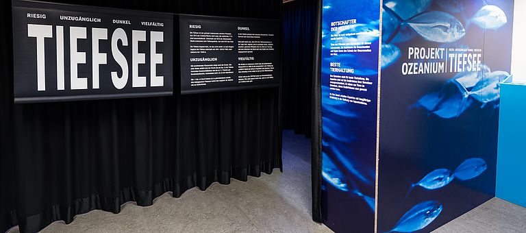 A new exhibition at Basel Zoo takes visitors into the deep sea. Photo: Basel Zoo