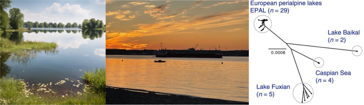 Probenahme der mikrobiellen Artenvielfalt in aquatischen Systemen