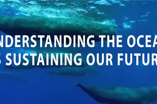 Ein Screenshot zeigt eine Unterwasseraufnahme und die Beschriftung "Understanding the ocean is sustaining our future"