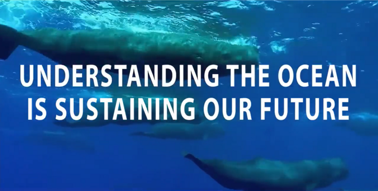 Ein Screenshot zeigt eine Unterwasseraufnahme und die Beschriftung "Understanding the ocean is sustaining our future"