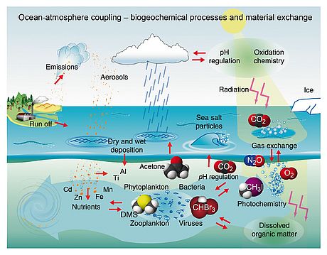 Illustration of the complex interaction of biological, chemical and physical processes at the air-sea interface and of the chemical species on which WP1 places a special emphasis. Modified from figure provided at SOLAS homepage(www.solas-int.org)