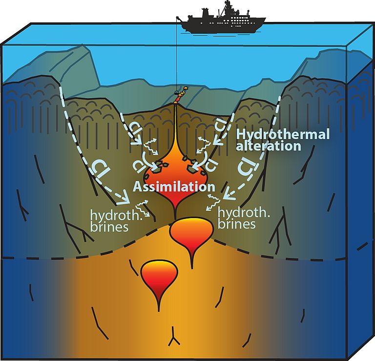 Die Hydrothermale Zirkulation verändert die Ozeankruste und erhöht die Chlor (Cl) Konzentration der Gesteine durch den Eintrag von Meerwasser. Aufsteigendes Magma nimmt kleine Teile der veränderten Kruste auf, wodurch dann auch die Chlor-Gehalte des Magmas leicht erhöht werden. Wenn dieses Magma am Ozeanboden eruptiert, formt es Basaltlava, die wir beproben und detailliert untersuchen können. Quelle: GEOMAR.