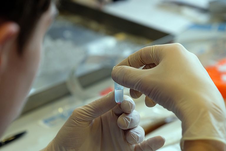 Ist die  Gewebeprobe im Probenfläschchen, kann sie ans GEOMAR geschickt werden. Foto: Jan Steffen, GEOMAR