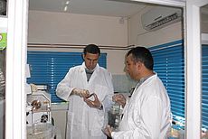 Working with the Quadrupol