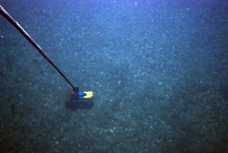 Bakterienmatten im Gotlandbecken, die anoxische Zonen kennzeichnen. Quelle GEOMAR.