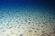 Undisturbed sea bed with manganese nodules. Photo: ROV team/GEOMAR