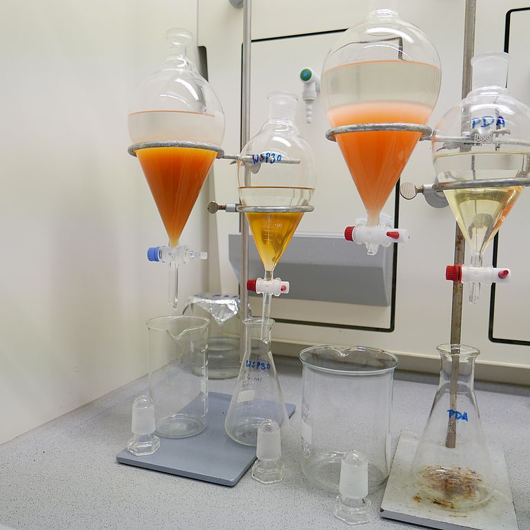 Extraction process of the red yeast Rhodotorula mucilaginosa. Natural products produced by the yeast are extracted from the culture by use of organic solvents. Subsequently the resulting extracts are tested for their bioactivity and analyzed for their metabolome. Photo: L. Büdenbender, GEOMAR.