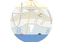 Schematische Darstellung zum Einfluss der Ozonschicht in der Stratosphäre auf die Atmosphärendynamik. Grafik: Sabine Haase / GEOMAR