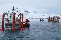Release of the mesocosms in the Kongsfjord. Photo: U. Riebesell, IFM-GEOMAR.