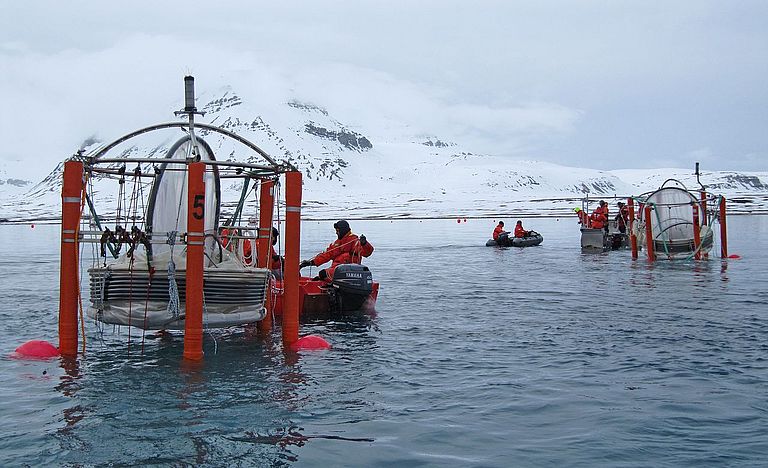 Release of the mesocosms in the Kongsfjord. Photo: U. Riebesell, IFM-GEOMAR.