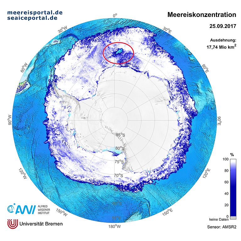 Bild der Meereisbedeckung um die Antarktis am 25.09.2017 aus Satellitendaten. Der rote Kreis markiert die aktuelle Weddell Polynja. Quelle: www.meereisportal.de