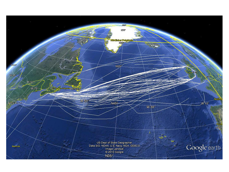 Schifftracks mit CO2 Messungen im Nordatlantik seit 2005. Quelle: Google Earth
