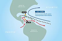 Im Miozän war die Landbrücke beim heutigen Panama noch nicht geschlossen. Relativ salzarmes Wasser aus dem Pazifik erreichte die Karibik. Das belegen zum Beispiel Untersuchungen in der Zentral-Karibik (ODP1000).  Sedimentproben, die an ODP1006 genommen wurden, zeigen jetzt aber, dass zwischen 11,5 und 9,5 Millionen Jahren vor heute dieses relativ salzarme Wasser die Karibik nicht  verließ und damit die Nordatlantische Zirkulation nicht beeinflussen konnte. Grafik: Anne Osborne/GEOMAR