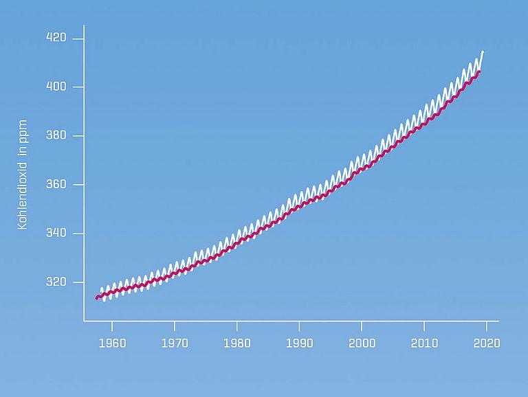 Die Konzentration von CO2  in der Luft seit 1958 an der Messstation Mauna Loa auf Hawaii (weiße Linie)