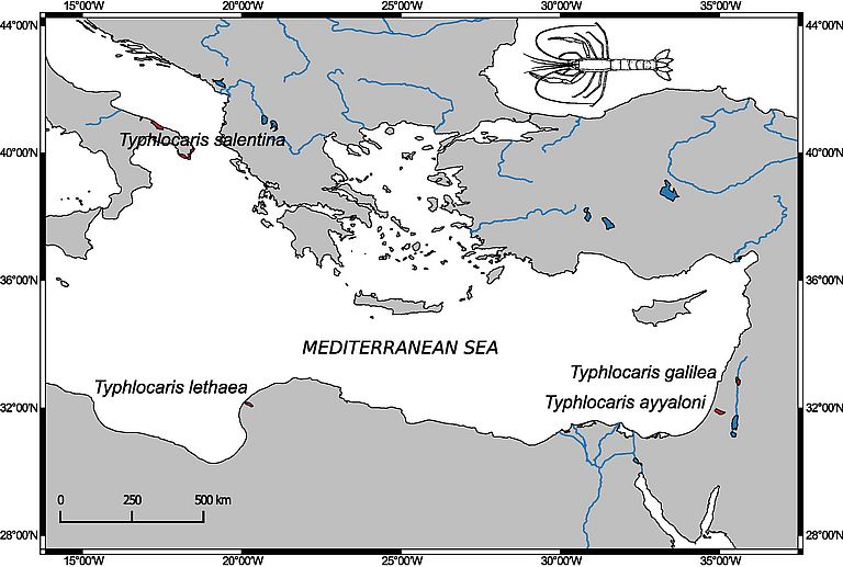 Vorkommen des Höhlenkrebses Typhlocaris im Mittelmeerraum. Karte nach Guy-Haim et al. (2018).