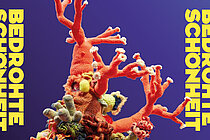 Visual Talk Studio Bonn