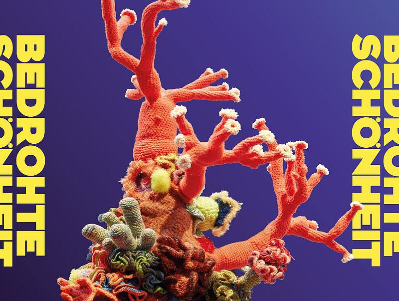 Visual Talk Studio Bonn