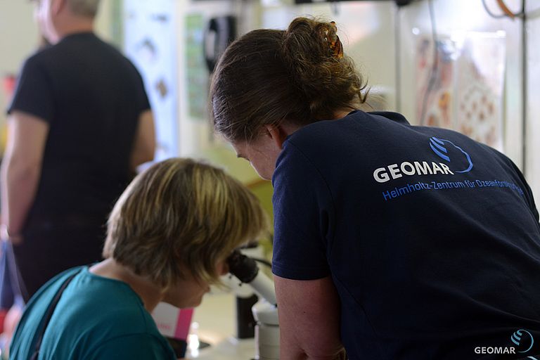 Manchmal ist ein Mikroskop nötig, um Meerestiere zu erkennen