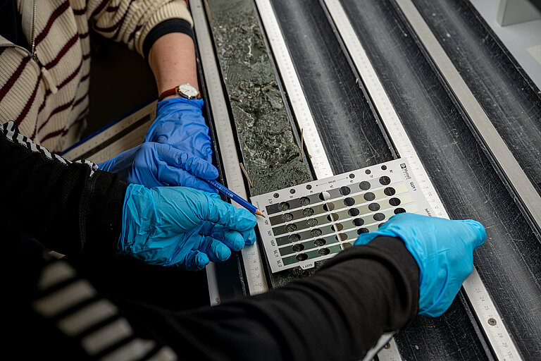 Vier Hände mit blauen Laborhandschuhen in Nahaufnahme. Eine Person hält ein Farbschema auf einen Sedimentkern.