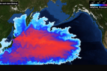 Simulated spreading of the contaminated Fukushima waters in summer 2012, 16 months after the nuclear disaster.