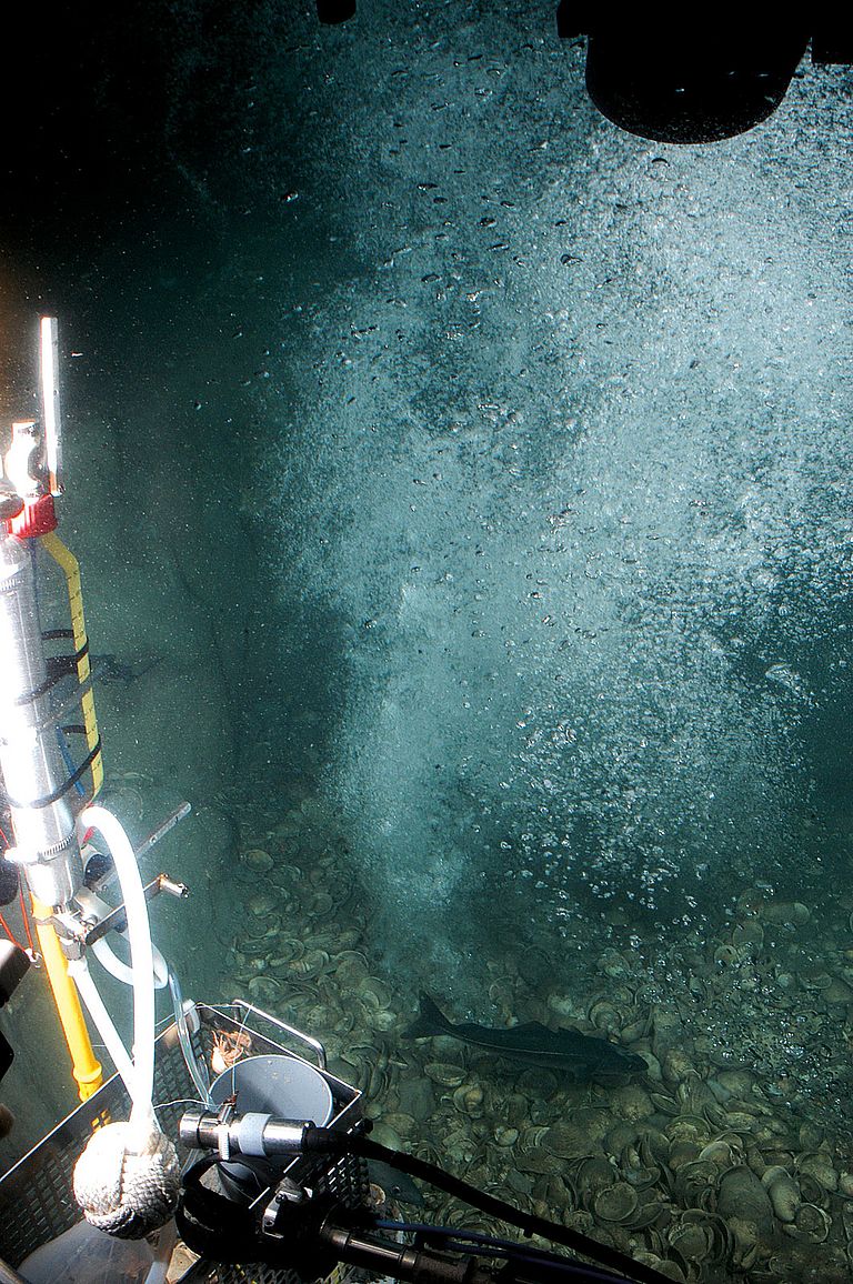 Gas bubbles emitted at the bottom of the North Sea. Photo: Jürgen Schauer, GEOMAR