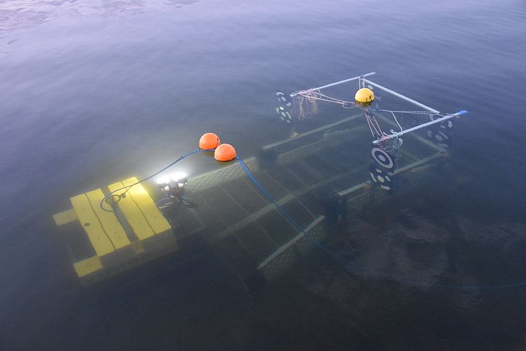 Erster Ausflug: der VIATOR erkundet den Ostseeboden. Foto: S. Flögel, GEOMAR.