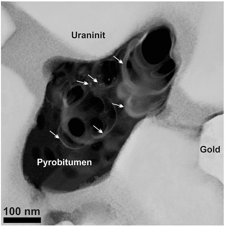 Transmission electron microscope image of a gold grain.  The gel-like petroleum residue encloses large amounts of uraninite nanoparticles (white arrows).
