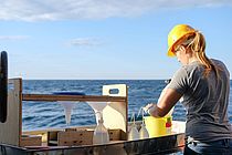 During an expedition to the Baltic Sea, a female scientist processes samples on the research vessel ALKOR. Although about 50 percent of all marine researchers are women by the time they receive their doctorates, their proportion decreases significantly afterwards. Baltic Gender is looking for strategies to avoid this loss of talent. Photo: Sirin Schulz/GEOMAR