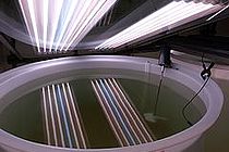 Die Kieler Indoor-Mesokosmen werden genutzt, um die Auswirkungen der globalen Erwärmung auf die Entwicklung von Planktonblüten zu untersuchen. Foto: A. Lewandoska, GEOMAR