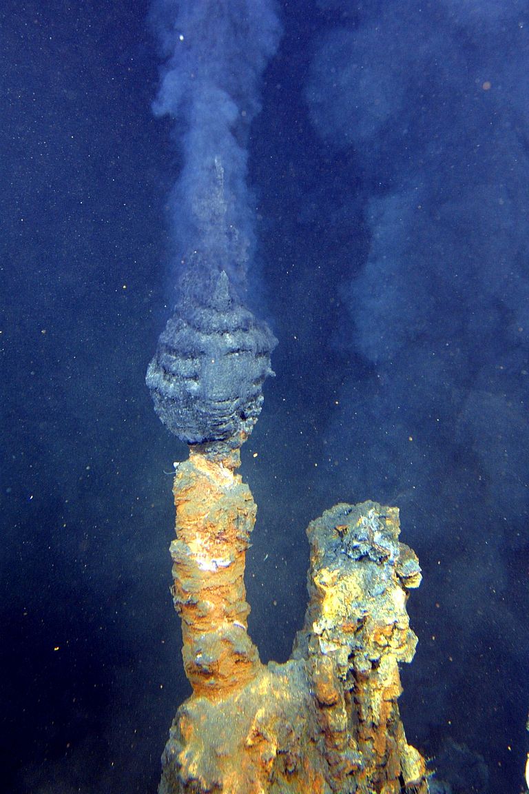 Schlot eines Schwarzen Rauchers am Brothers Unterwasservulkan auf dem Kermadec Inselbogen. Foto: GNS Science.