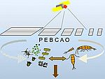 logo and link to PEBCAO homepage