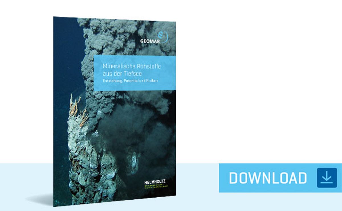 Mineralische Rohstoffe aus der Tiefsee: Broschüre über die Entstehung, das wirtschaftliche Potential und die ökologischen Risiken eines möglichen Abbaus der Ressourcen aus der Tiefsee (PDF, Stand 2019)