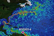Modellsimulation der Oberflächenströmungsgeschwindigkeit im Atlantik