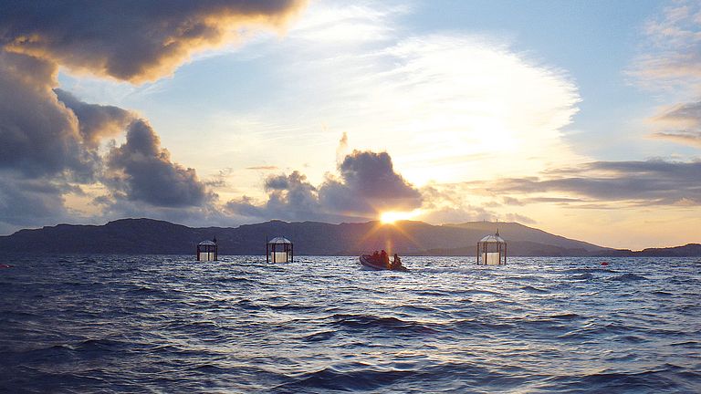 2011, Raunefjord, Norwegen: Im Fjord bei Bergen wurden die Reaktionen des ­Klima-Genies Emiliania huxleyi auf die Versauerung de Ozeans untersucht.