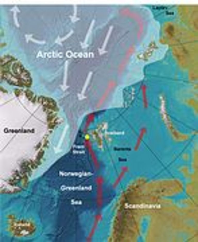 Karte der Grönlandsee und des Arktischen Ozeans. Die weiß abgetönten Flächen zeigen die durchschnittliche sommerliche Eisbedeckung, die weißen Pfeile markieren die Eisdrift. Die roten Pfeile zeigen den Transportweg für warmes Atlantikwasser in den Arktischen Ozean. Der gelbe Punkt markiert die Probenentnahmestelle für die aktuelle "Science"-Studie. Kartengrundlage: www.ibcao.org, Bearbeitung: R. Spielhagen, AdWMainz/GEOMAR