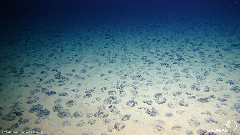 Manganese nodules in the Clarion Clipperton Zone in more than 4000 metres depth.  In a few years some countries could apply to the International Seabed Authority for a mining licence in the CCZ. Photo: ROV-Team/GEOMAR (CC BY 4.0)