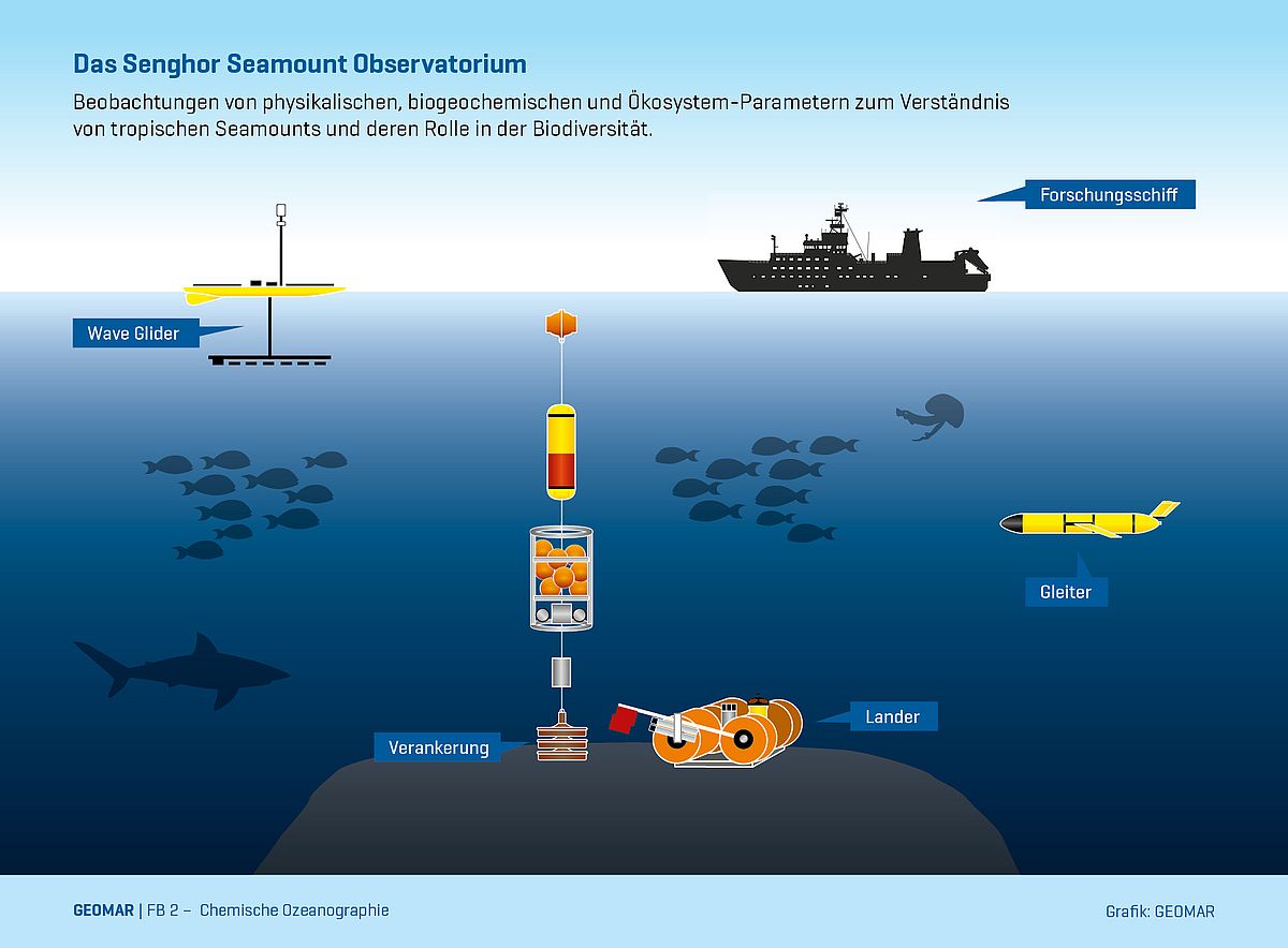 Grafische Darstellung des Senghor Seamount Observatoriums / Diagram of the Senghor-Seamount observatory (für eine interaktive pdf-Version bitte auf das Bild klicken / for an English interactive pdf version please download the file below)