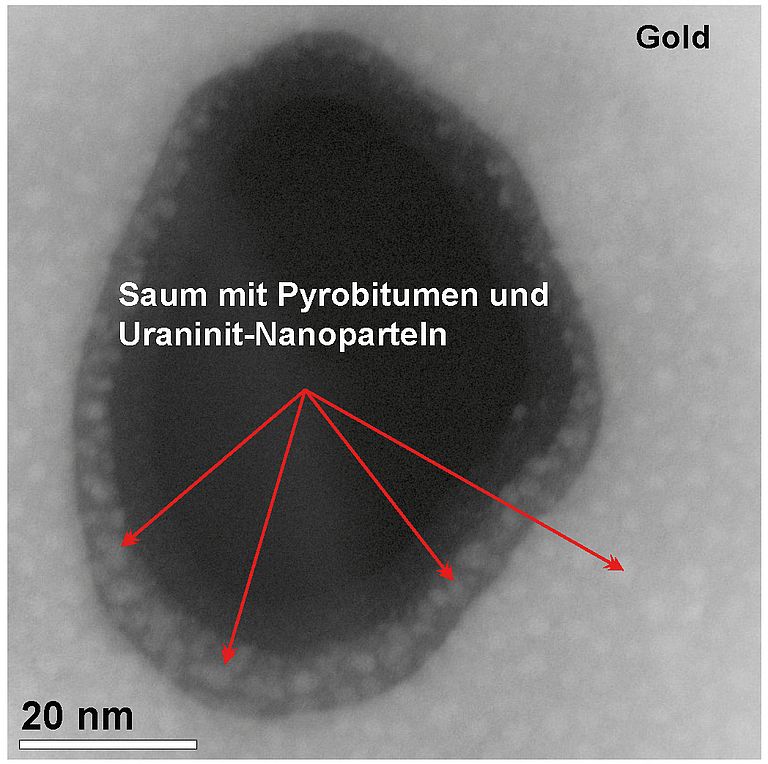 Aufnahme eines Goldkorns mit einem Transmissionselektronenmikroskop im Nanometerbereich. Es zeigt Pyrobitumen, fossile Reste von früherem Erdöl, in Hohlräumen von Gold und beherbergt Nanopartikel von Uraninite, welche im organischen Material gewachsen sind.