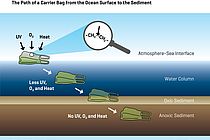 Der Weg einer Plastiktüte von der Meeresoberfläche bis in Sediment des Meeresbodens. Grafik: GEOMAR.