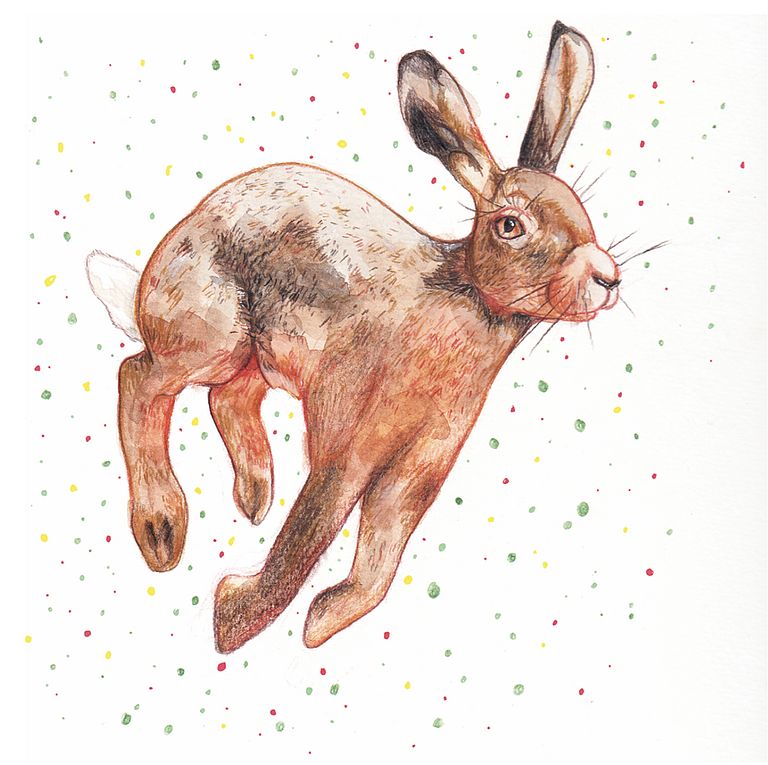 "How the rabbit runs", Clara Antonia Apel (14 Jahre)