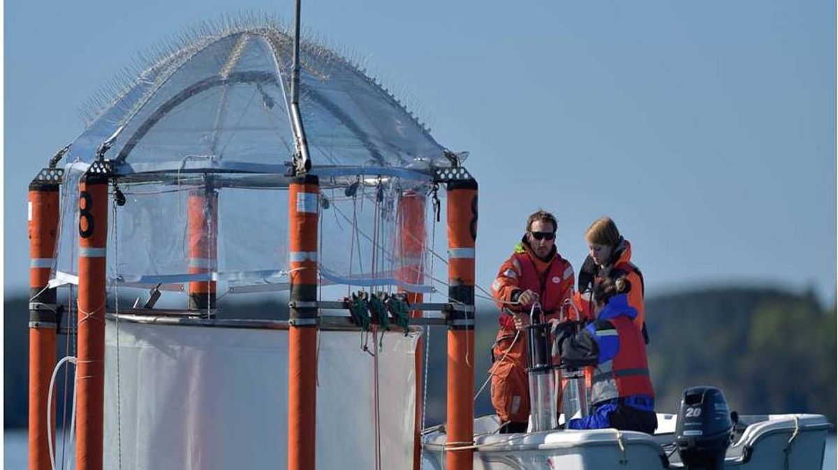 Fig. 3: Sampling at the mesocosms is conducted from small boats operated by the KOSMOS team. All participants have daily access to all mesocosms. Sampling devices include depth-integrated and discrete water samplers, nets, gas tight samplers, and sediment samplers. Various sensors for physical and chemical characterisation of the enclosed water are operated for continuous recoding and depth profiling. (photo: Solvin Zankl)
