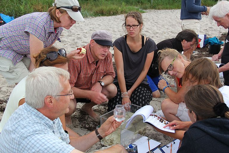 Discussing results. Photo: Joachim Dengg, GEOMAR