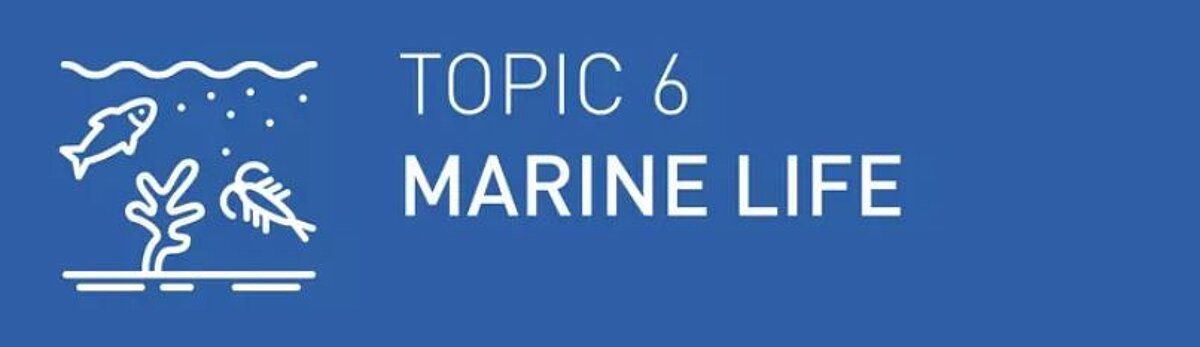 topic6