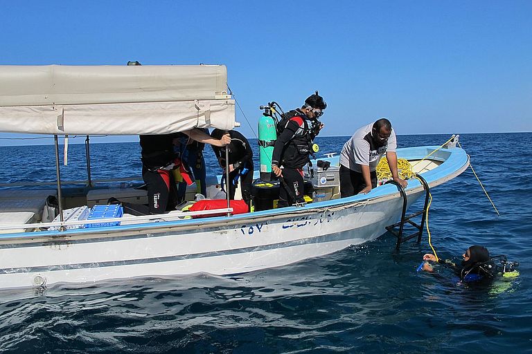 Tauchgang vom Forschungsboot aus. Foto: M. Wahl, IFM-GEOMAR.de